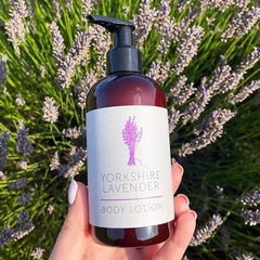 Shower Gel / Lotion / Hands