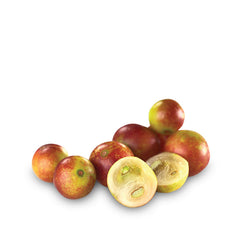 Camu Camu Extract