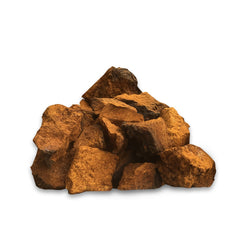 Chaga Mushroom