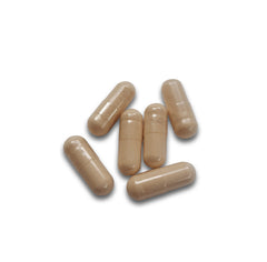 Lion's Mane Mushroom