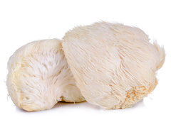 Lion's Mane Mushroom