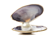 Pearl Powder