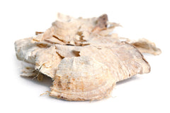 Pueraria Mirifica