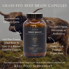 Brain (Beef) Grass-Fed UK