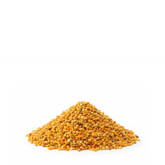 Bee Pollen | Polyfloral