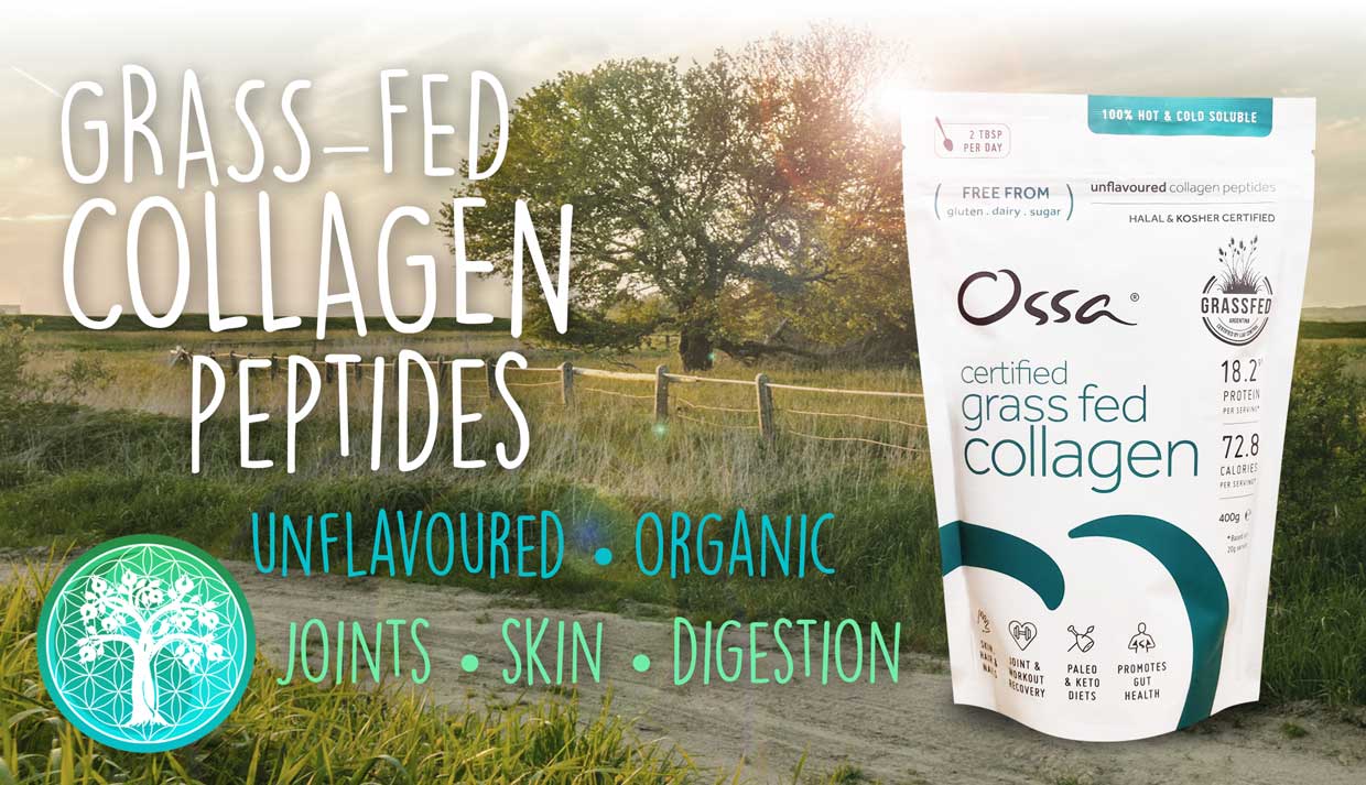 Collagen Peptides