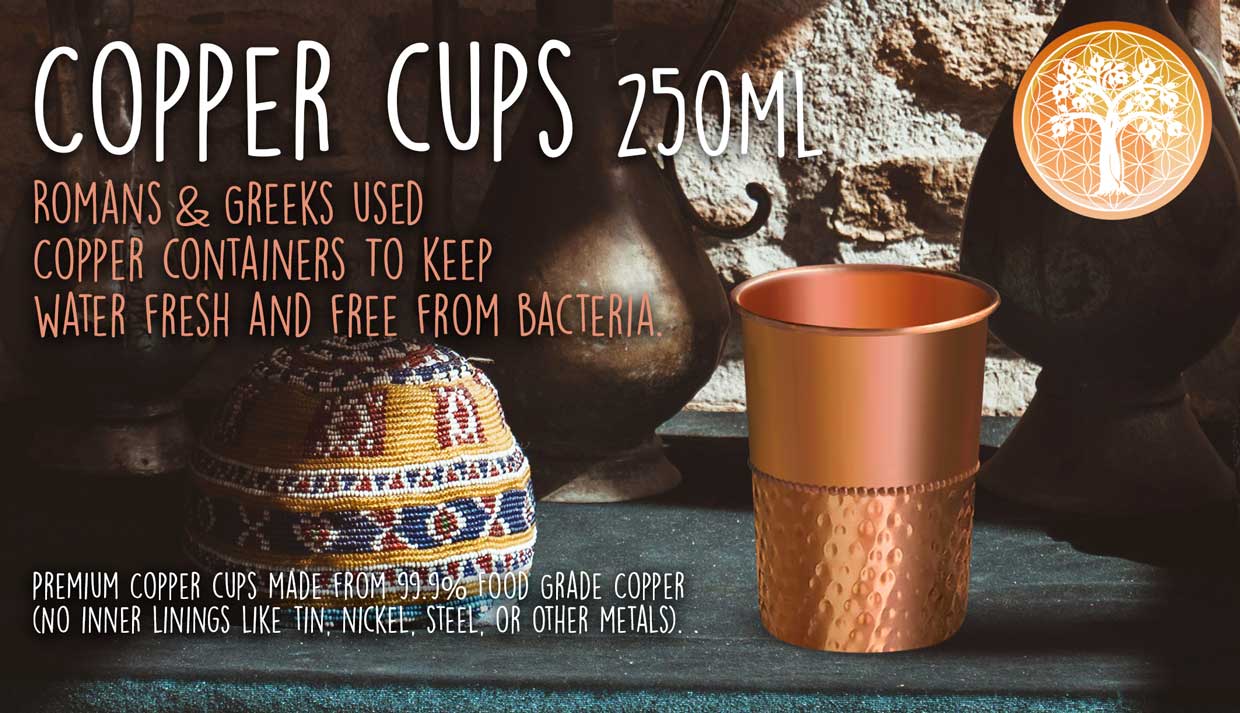 Copper Cup
