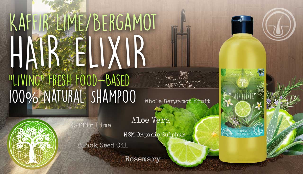 Hair Elixir | Shampoo