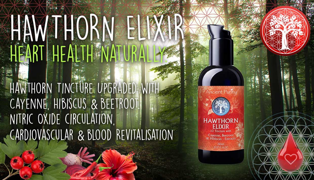 Hawthorn Elixir