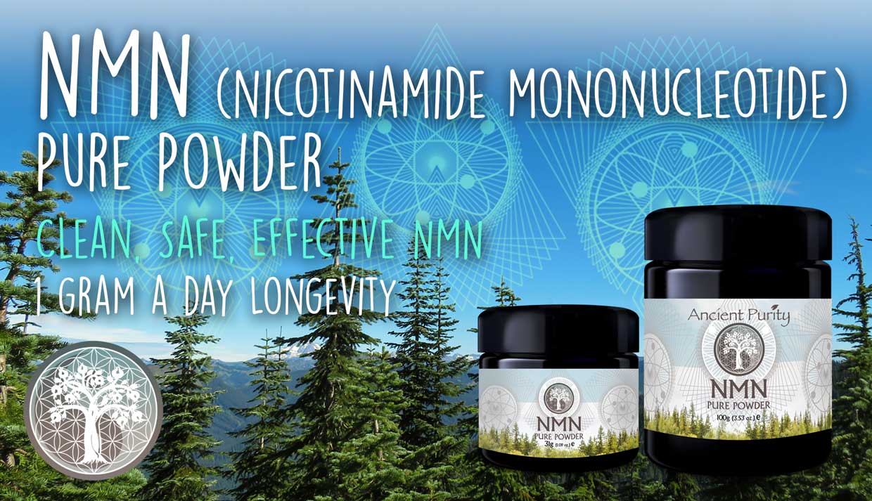NMN | Pure Powder