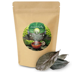 Soursop Leaves | Tea