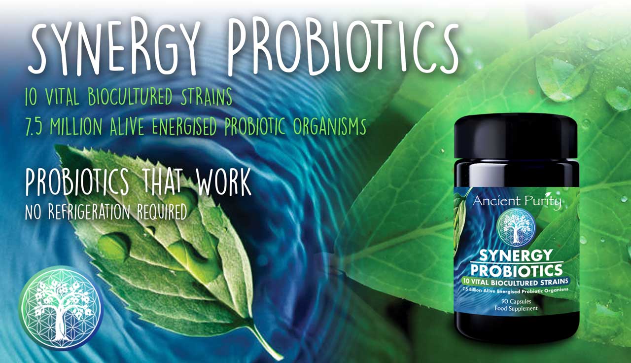 Probiotics | Synergy