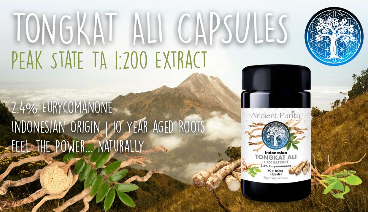 Tongkat Ali Extract