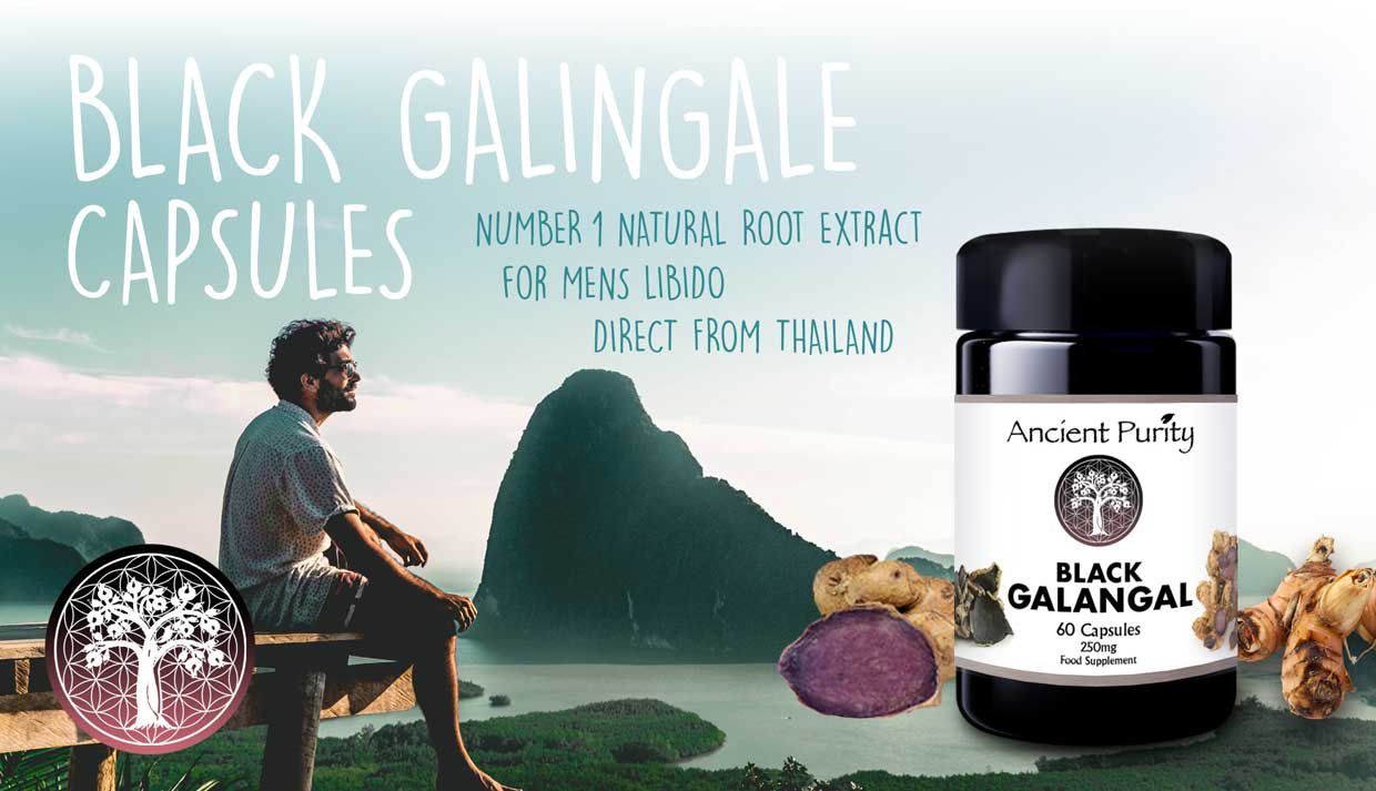 Black Galingale
