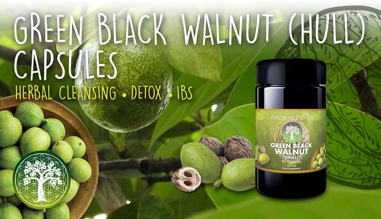 Green Black Walnut Hull