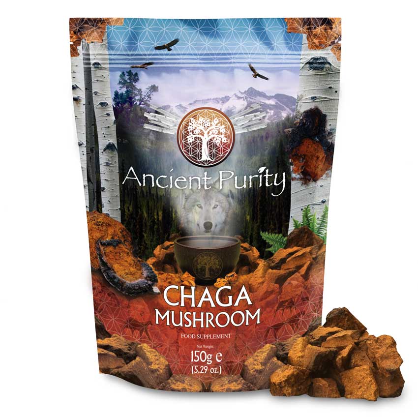 Chaga Mushroom