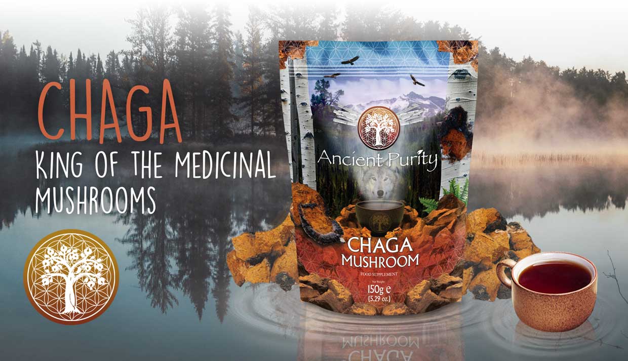 Chaga Mushroom