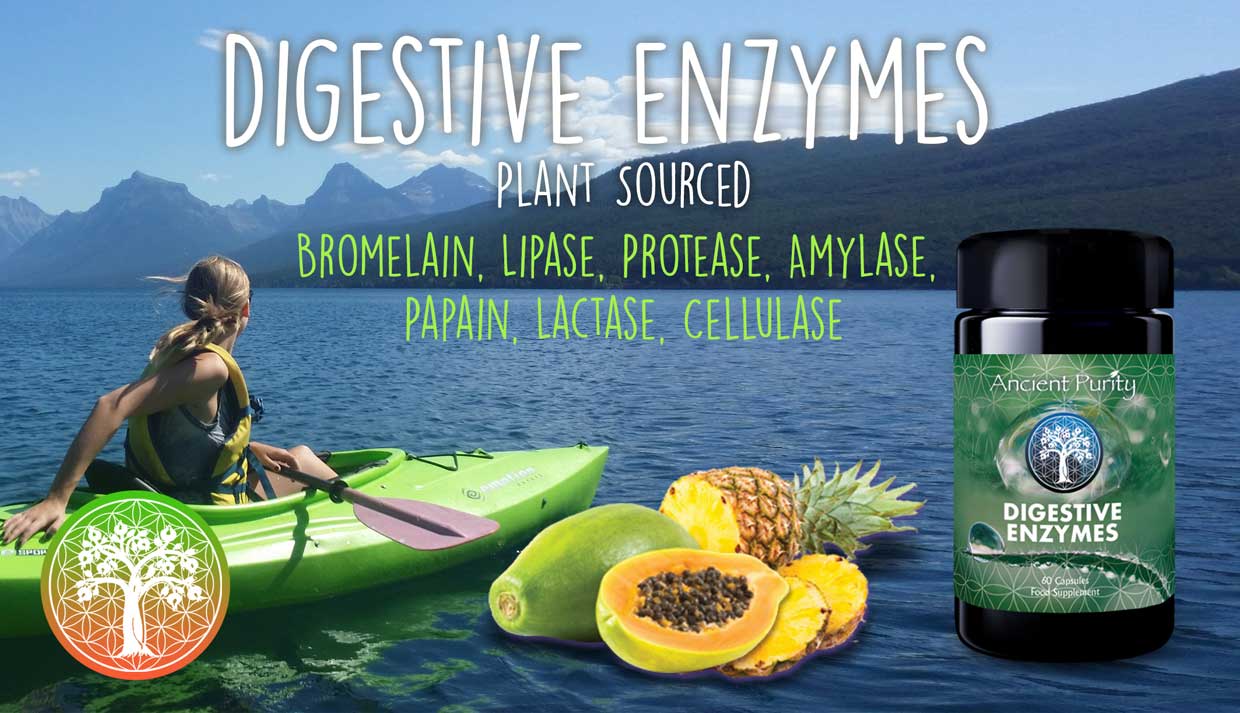 Digestive Enzymes