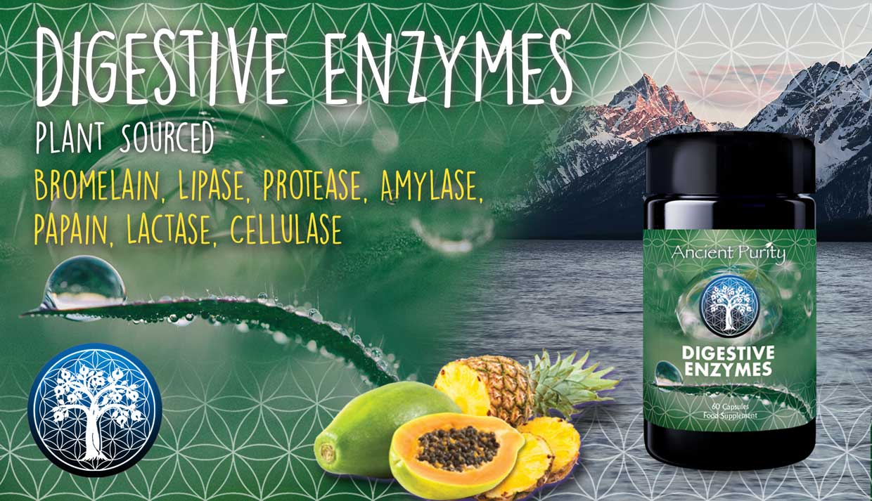 Digestive Enzymes
