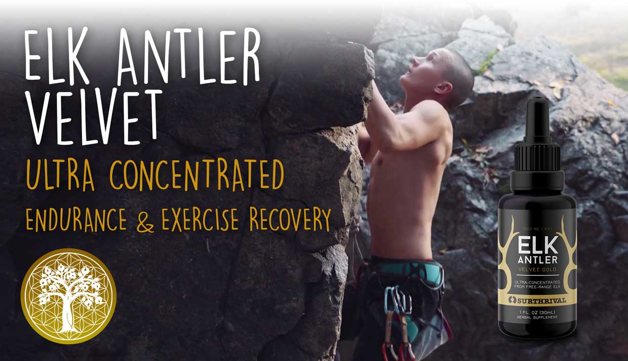 Elk Antler Extract