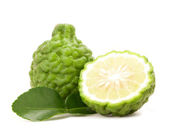 Kaffir Lime Shampoo