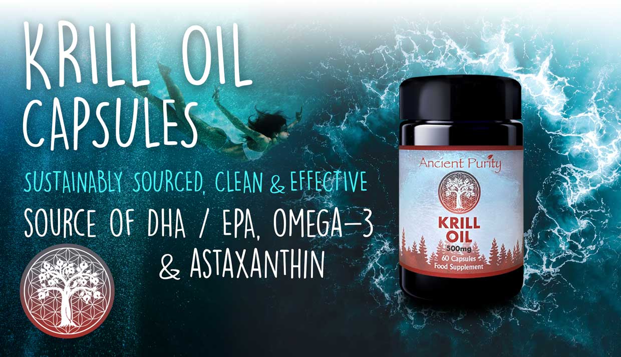 Krill Oil | Antarctic