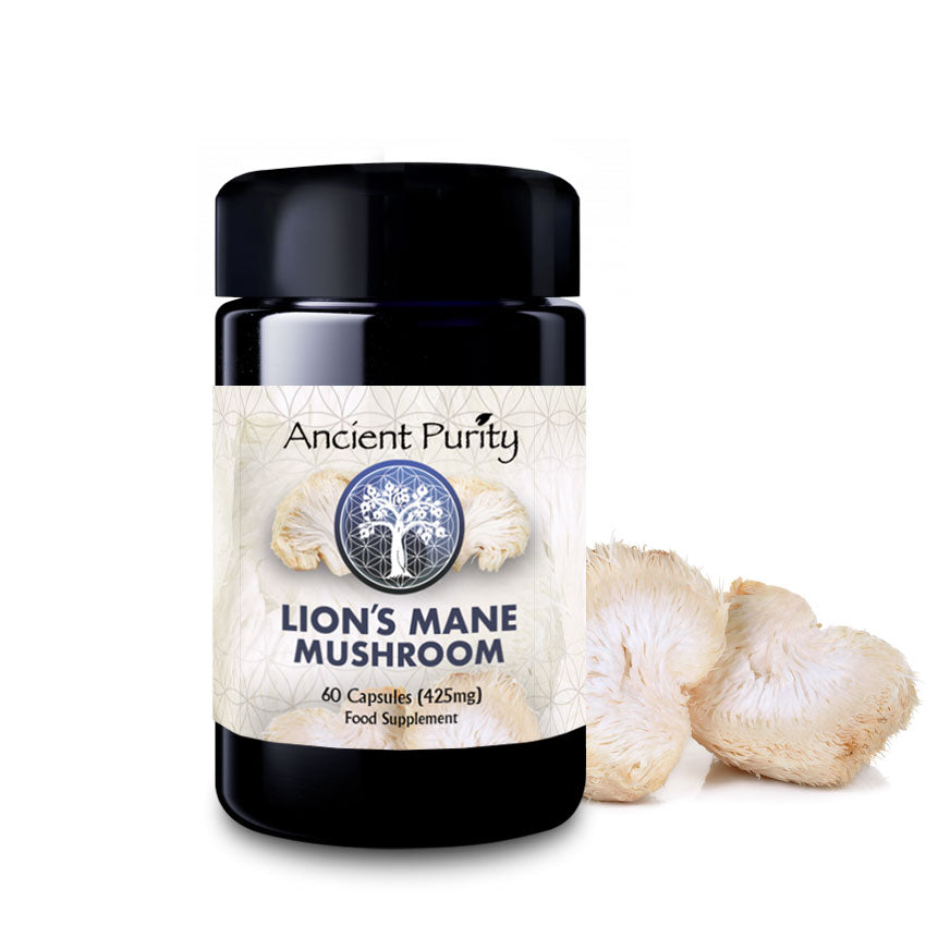 Lion's Mane Mushroom