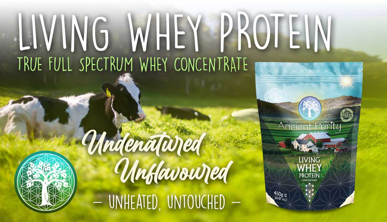Whey Protein | Living