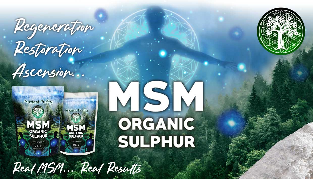 MSM Organic Sulphur