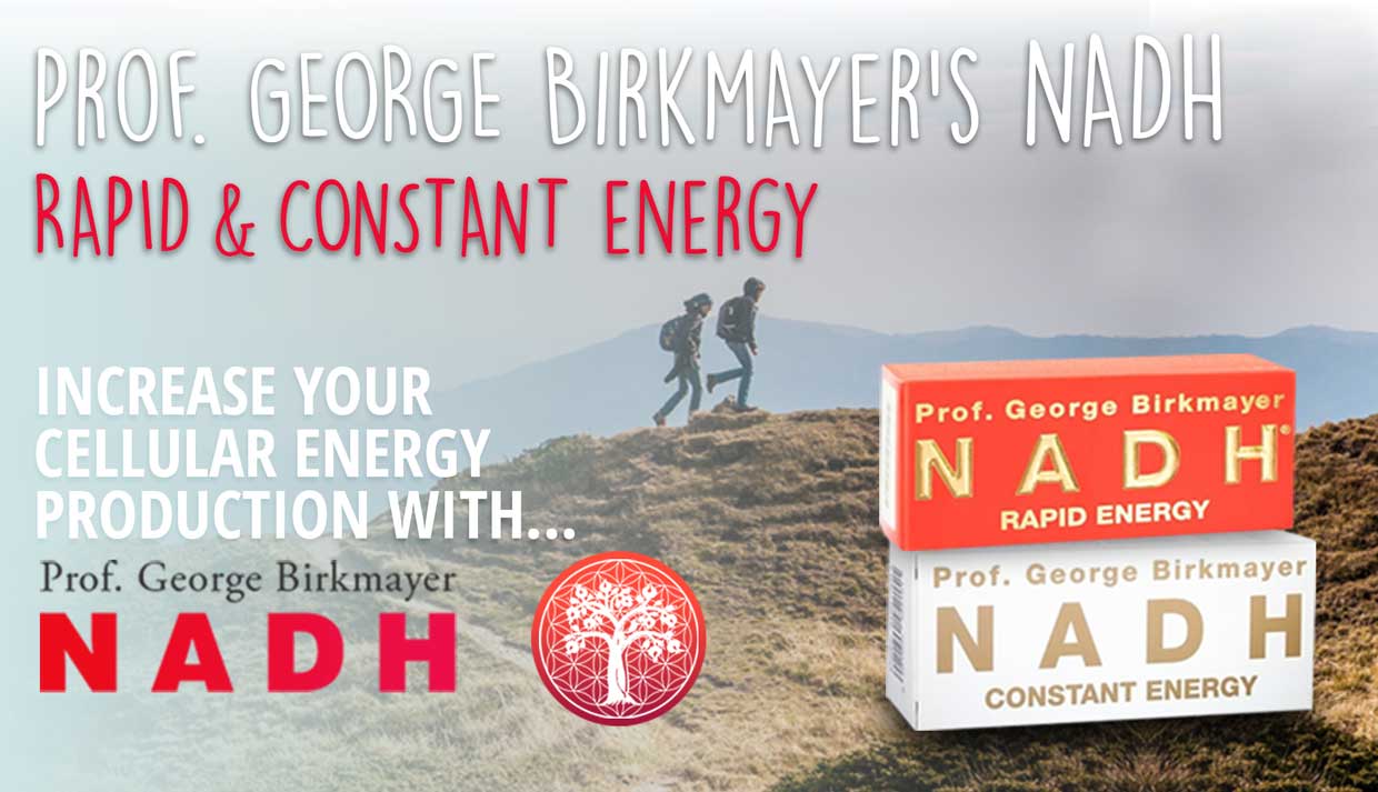 NADH | Rapid / Constant