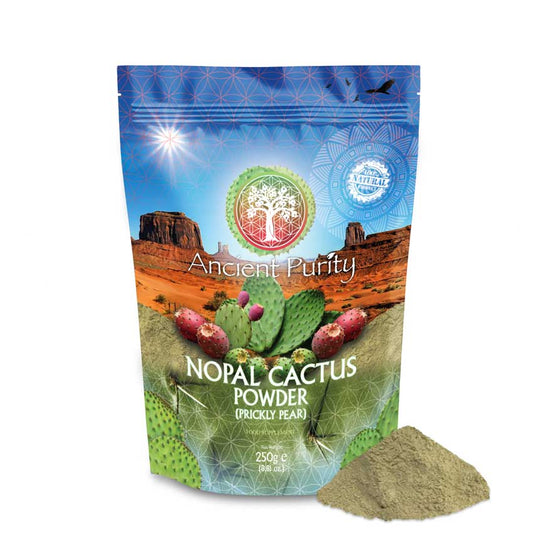 Nopal Cactus | Green Leaf