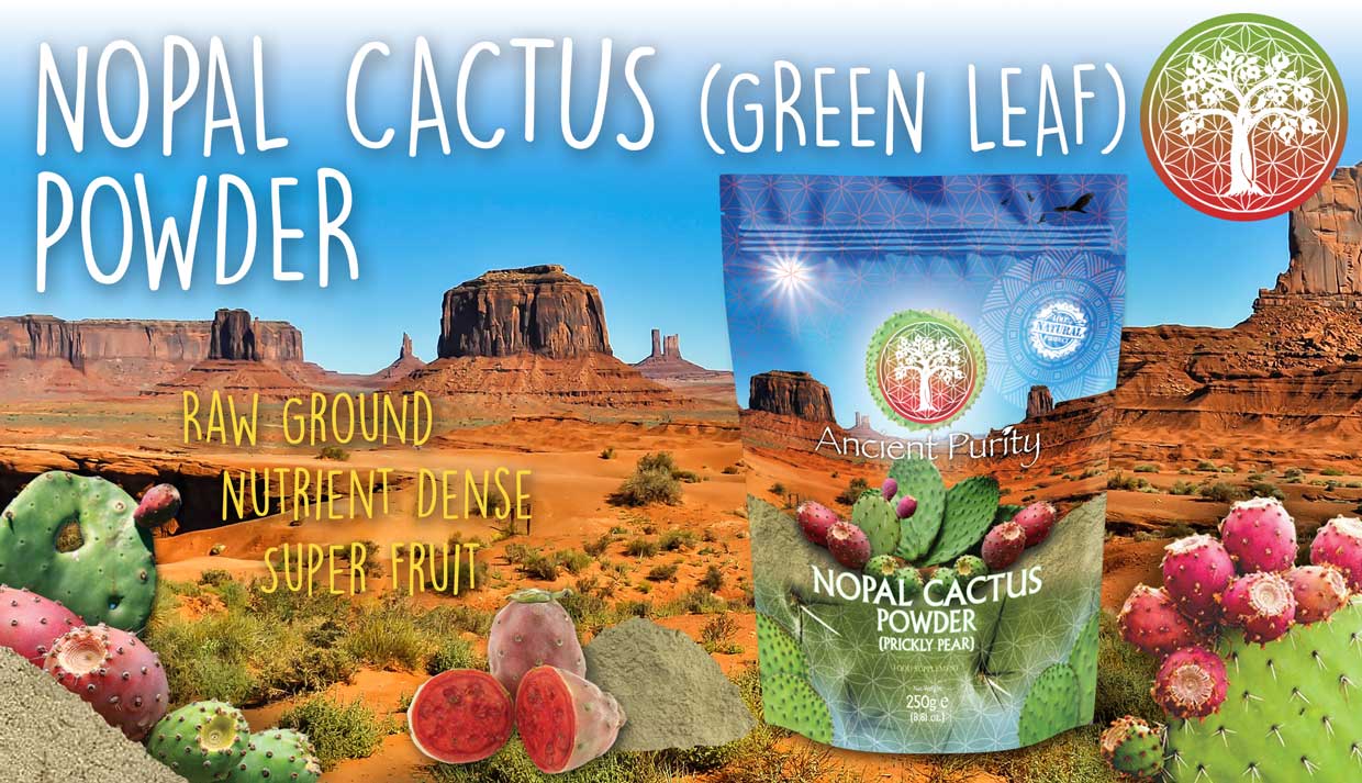 Nopal Cactus | Green Leaf
