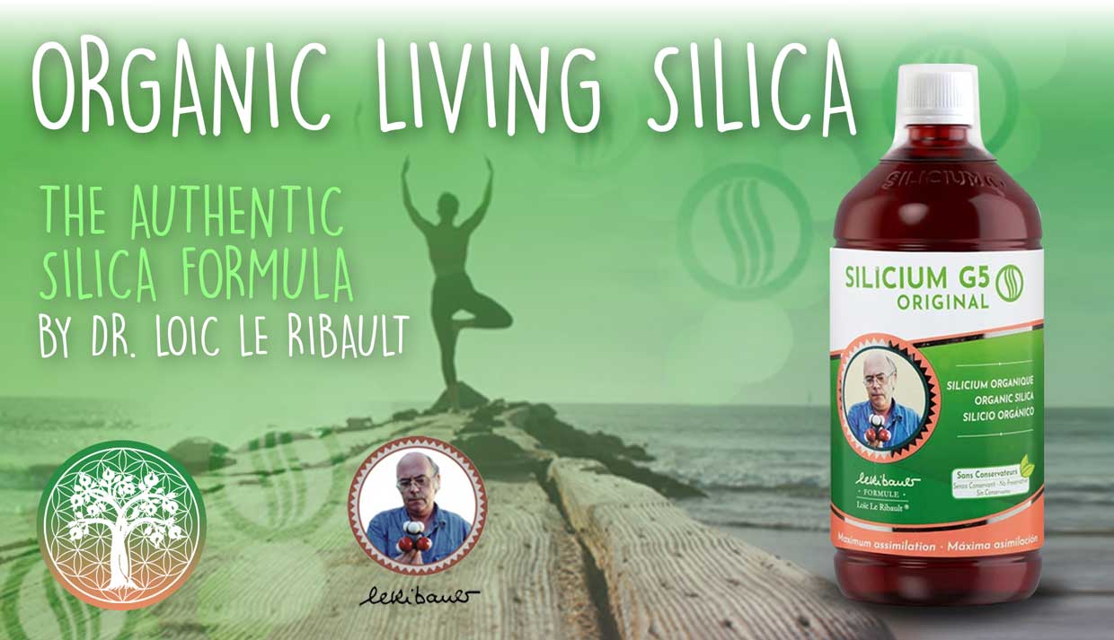 Living Silica Organic