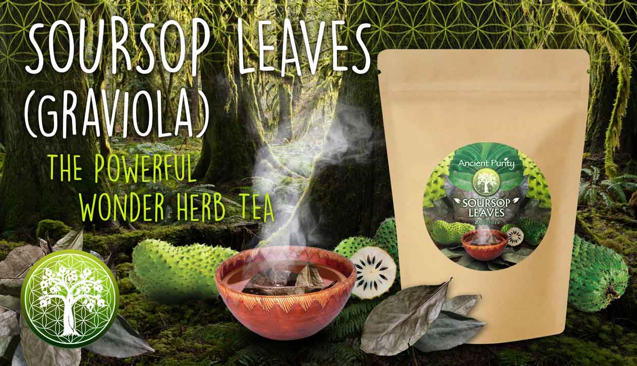 Soursop Leaves | Tea