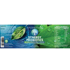 Synergy Probiotics