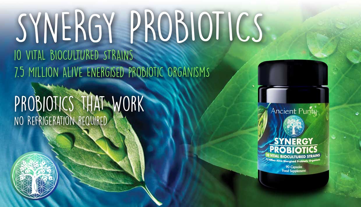 Synergy Probiotics