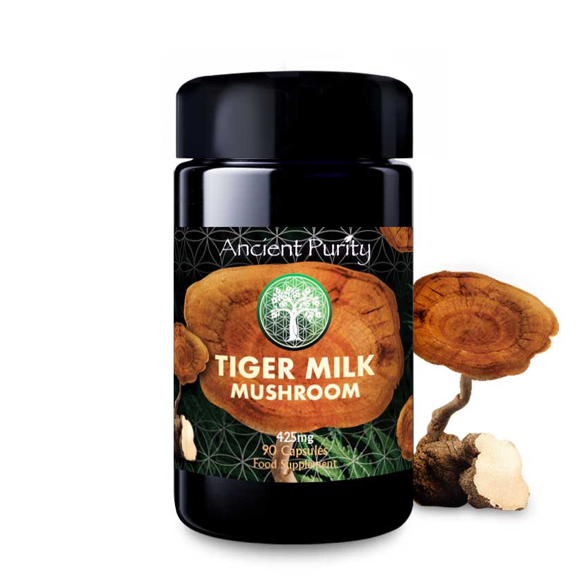 Tiger Milk Mushroom