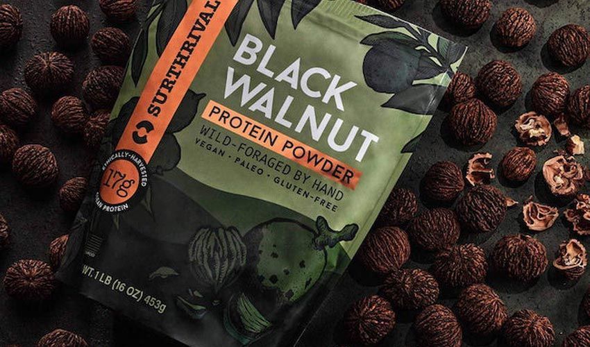 Power of Black Walnut