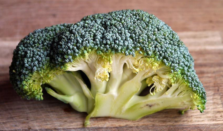 Bountiful Broccoli