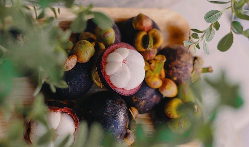 Mangosteen for Skin & Beauty 