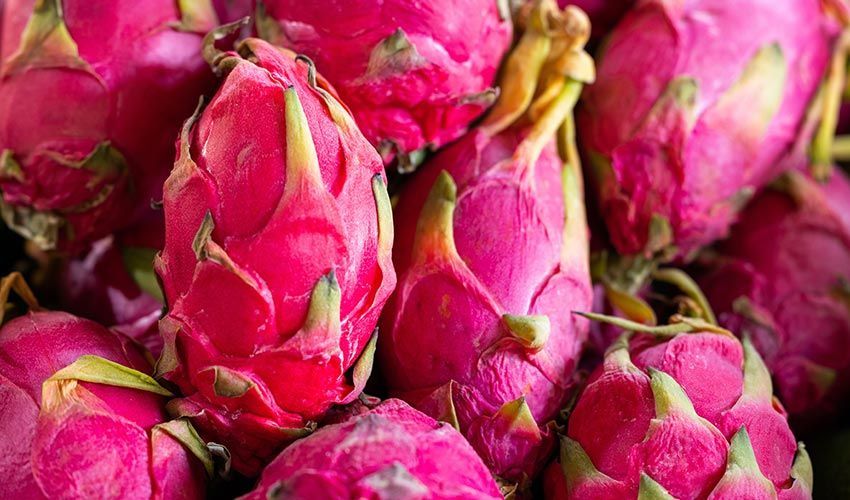 The Mythical Dragon Fruit