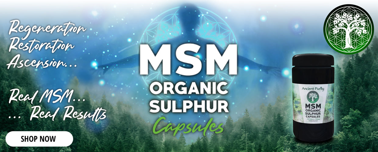 MSM Sulphur Capsules