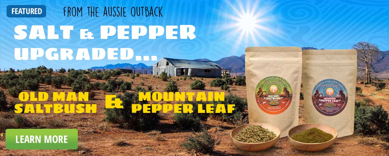 Old Man Saltbush Mountain Pepper