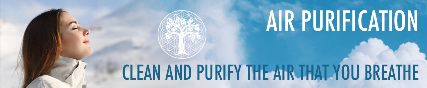 Air Purification Air Purification
