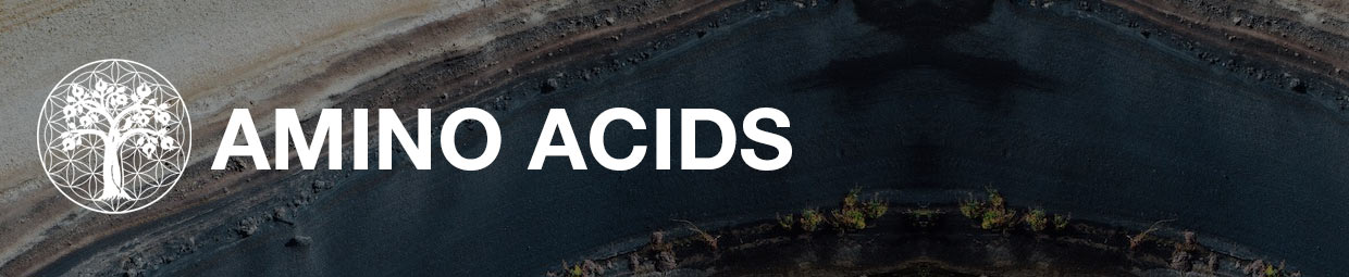 Amino Acids Amino Acids