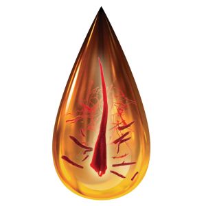 Saffron Oil (Infused)