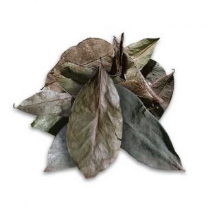 Soursop Leaves (Graviola)