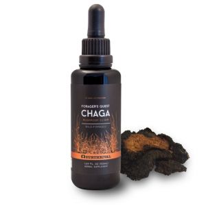Chaga (Mushroom) Tincture