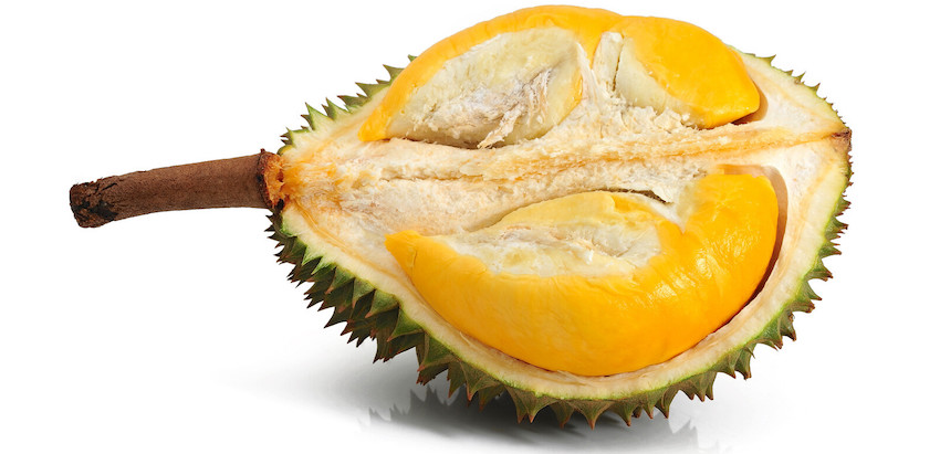 organic durian Europe