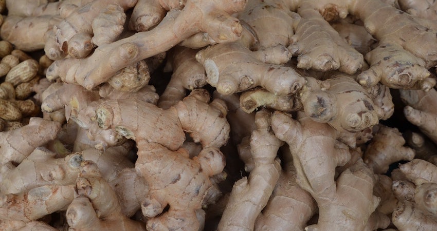 dr mercola fermented ginger solspring biodynamic UK EU farm ginger